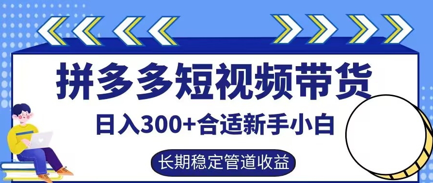 拼多多短视频带货日入300+有长期稳定被动收益，合适新手小白【揭秘】-赚金金-技能学习分享