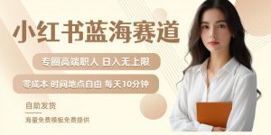 小红书蓝海赛道,圈中高端职场人,月入无上限,可矩阵,内含私域实操教程!-赚金金-技能学习分享