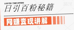 最新闲鱼引流创业粉,日引100+,网创项目虚变现讲解【揭秘】-赚金金-技能学习分享