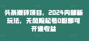 头条搬砖项目,2024内部新玩法,无风险起号0粉即可开通收益-赚金金-技能学习分享