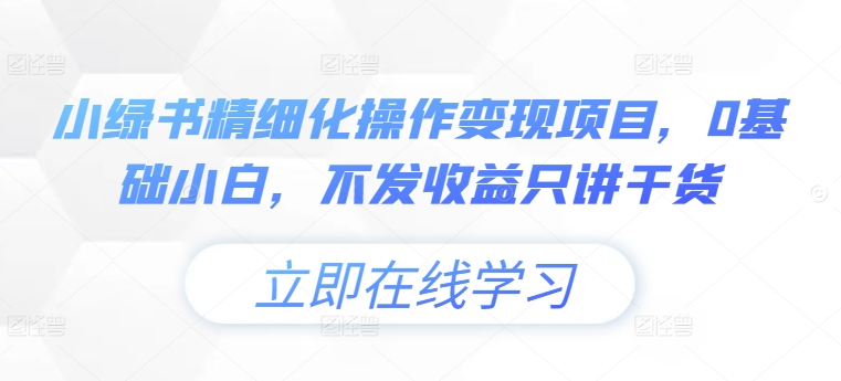小绿书精细化操作变现项目，0基础小白，不发收益只讲干货-赚金金-技能学习分享