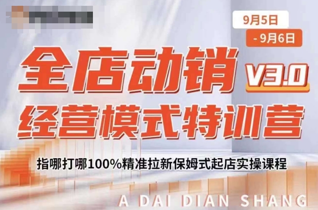 全店动销经营模式特训营，指哪打哪100%精准拉新保姆式起店实操课程-赚金金-技能学习分享