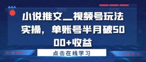 小说推文—视频号玩法实操,单账号半月破5000+收益-赚金金-技能学习分享