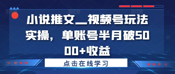 小说推文—视频号玩法实操，单账号半月破5000+收益-赚金金-技能学习分享