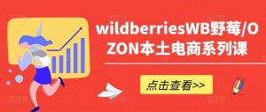 wildberriesWB野莓/OZON本土电商系列课,掌握WB产品优化,出单技巧和订单处理等-赚金金-技能学习分享