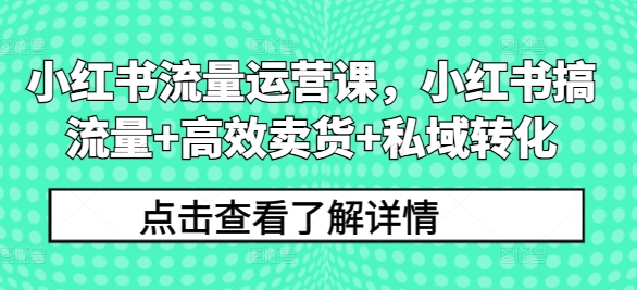 小红书流量运营课，小红书搞流量+高效卖货+私域转化-赚金金-技能学习分享