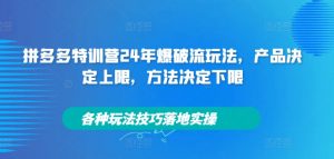 拼多多特训营24年爆破流玩法,产品决定上限,方法决定下限,各种玩法技巧落地实操-赚金金-技能学习分享