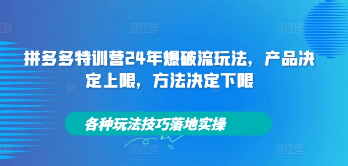 拼多多特训营24年爆破流玩法，产品决定上限，方法决定下限，各种玩法技巧落地实操-赚金金-技能学习分享
