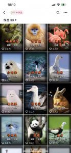 动物科普解说项目，撸创作者伙伴计划收益，保姆级实战教程-赚金金-技能学习分享