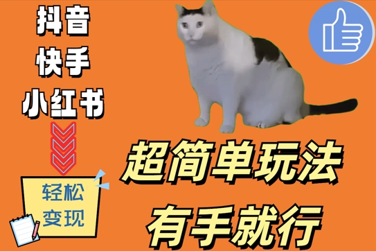 超简单玩法，有手就行，靠猫咪视频日入500+【揭秘】-赚金金-技能学习分享