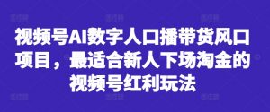 视频号AI数字人口播带货风口项目,最适合新人下场淘金的视频号红利玩法-赚金金-技能学习分享