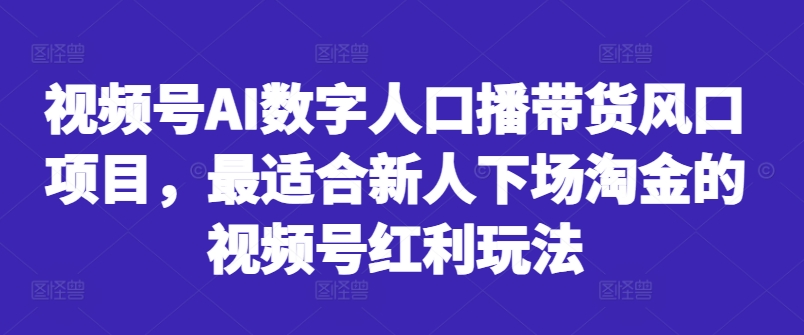 视频号AI数字人口播带货风口项目,最适合新人下场淘金的视频号红利玩法-赚金金-技能学习分享