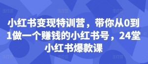 小红书变现特训营,带你从0到1做一个赚钱的小红书号,24堂小红书爆款课-赚金金-技能学习分享