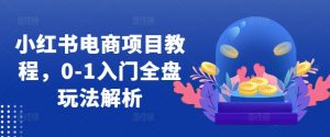 小红书电商项目教程，0-1入门全盘玩法解析-赚金金-技能学习分享
