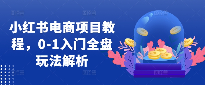 小红书电商项目教程，0-1入门全盘玩法解析-赚金金-技能学习分享