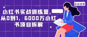 小红书实战训练营,从0到1,6000万小红书项目拆解-赚金金-技能学习分享