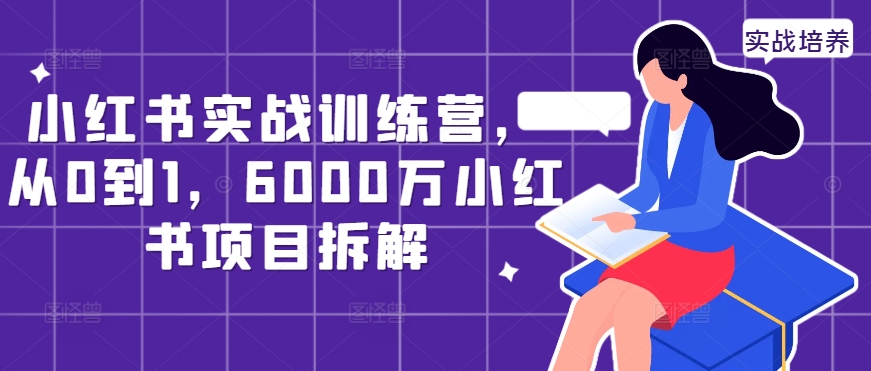 小红书实战训练营，从0到1，6000万小红书项目拆解-赚金金-技能学习分享
