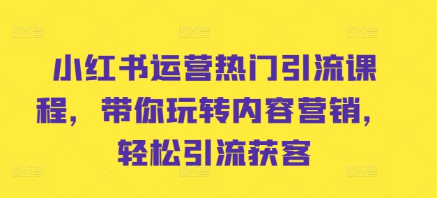 小红书运营热门引流课程，带你玩转内容营销，轻松引流获客-赚金金-技能学习分享