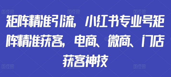 矩阵精准引流，小红书专业号矩阵精准获客，电商、微商、门店获客神技-赚金金-技能学习分享
