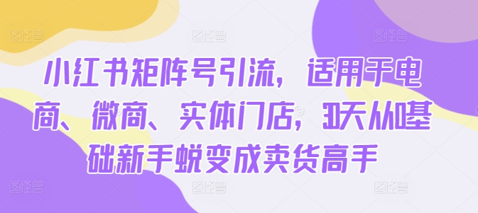 小红书矩阵号引流，适用于电商、微商、实体门店，30天从0基础新手蜕变成卖货高手-赚金金-技能学习分享