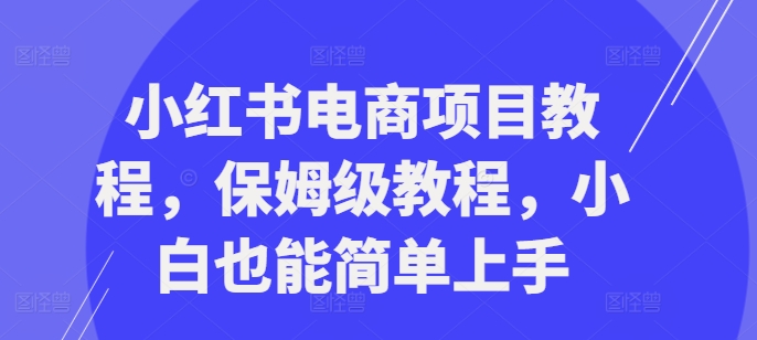 小红书电商项目教程，保姆级教程，小白也能简单上手-赚金金-技能学习分享