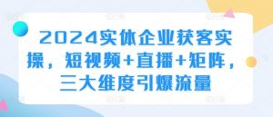 2024实体企业获客实操,短视频+直播+矩阵,三大维度引爆流量-赚金金-技能学习分享