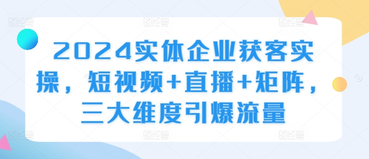 2024实体企业获客实操，短视频+直播+矩阵，三大维度引爆流量-赚金金-技能学习分享