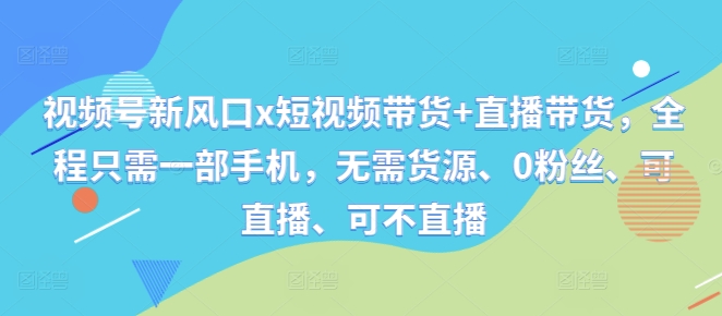 视频号新风口x短视频带货+直播带货，全程只需一部手机，无需货源、0粉丝、可直播、可不直播-赚金金-技能学习分享