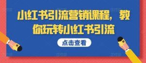 小红书引流营销课程,教你玩转小红书引流-赚金金-技能学习分享