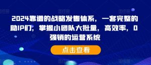 2024靠谱的战略发售体系，一套完整的助IP们，掌握小团队大批量，高效率，0 强销的运营系统-赚金金-技能学习分享