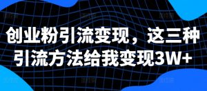 创业粉引流变现,这三种引流方法给我变现3W+【揭秘】-赚金金-技能学习分享