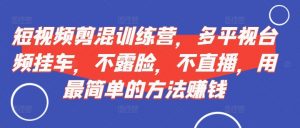 短视频剪混训练营,多平视台频挂车,不露脸,不直播,用最简单的方法赚钱-赚金金-技能学习分享