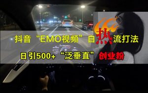 抖音EMO视频自热打法,日引500+“泛垂直”创业粉-赚金金-技能学习分享