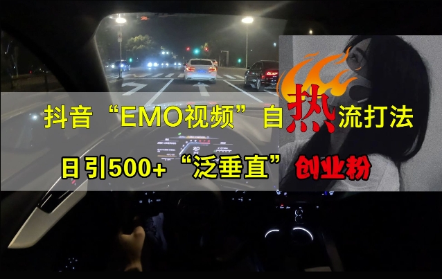 抖音EMO视频自热打法，日引500+“泛垂直”创业粉-赚金金-技能学习分享