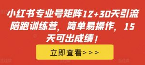 小红书专业号矩阵12+30天引流陪跑训练营,简单易操作,15天可出成绩!-赚金金-技能学习分享