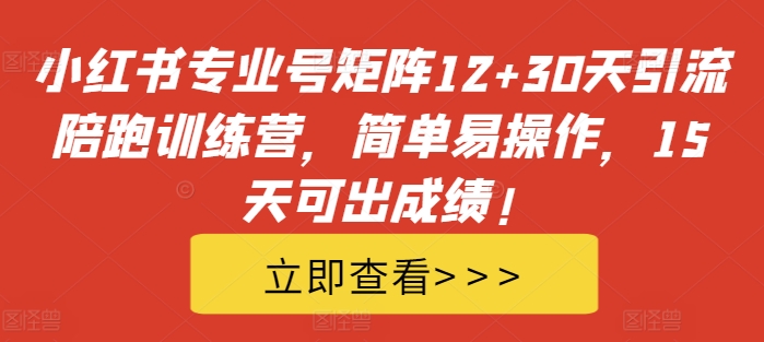 小红书专业号矩阵12+30天引流陪跑训练营，简单易操作，15天可出成绩!-赚金金-技能学习分享