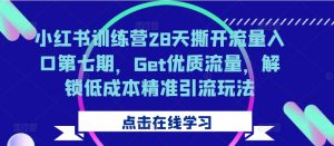 小红书训练营28天撕开流量入口第七期,Get优质流量,解锁低成本精准引流玩法-赚金金-技能学习分享