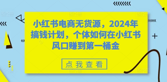 小红书电商无货源,2024年搞钱计划,个体如何在小红书风口赚到第一桶金-赚金金-技能学习分享