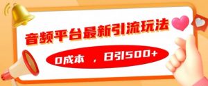 音频平台最新引流玩法,0成本,日引500+【揭秘】-赚金金-技能学习分享