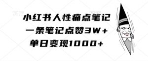 小红书人性痛点笔记，一条笔记点赞3W+，单日变现1k-赚金金-技能学习分享