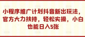 小程序推广计划抖音新出玩法，官方大力扶持，轻松实操，小白也能日入5张【揭秘】-赚金金-技能学习分享