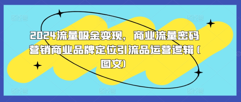 2024流量吸金变现，商业流量密码营销商业品牌定位引流品运营逻辑(图文)-赚金金-技能学习分享