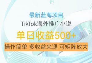 最新蓝海项目，利用tiktok海外推广小说赚钱佣金，简单易学，日入500+，可矩阵放大【揭秘】-赚金金-技能学习分享