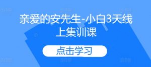 亲爱的安先生-小白3天线上集训课-赚金金-技能学习分享