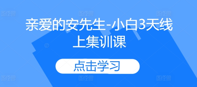 亲爱的安先生-小白3天线上集训课-赚金金-技能学习分享