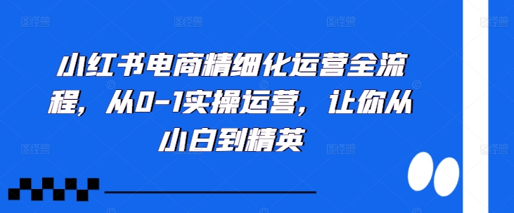 小红书电商精细化运营全流程，从0-1实操运营，让你从小白到精英-赚金金-技能学习分享