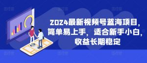 2024最新视频号蓝海项目，简单易上手，适合新手小白，收益长期稳定-赚金金-技能学习分享