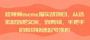 短视频meme猫实战项目,从选素材到把文案,到剪辑,手把手的教你快速起号涨粉-赚金金-技能学习分享