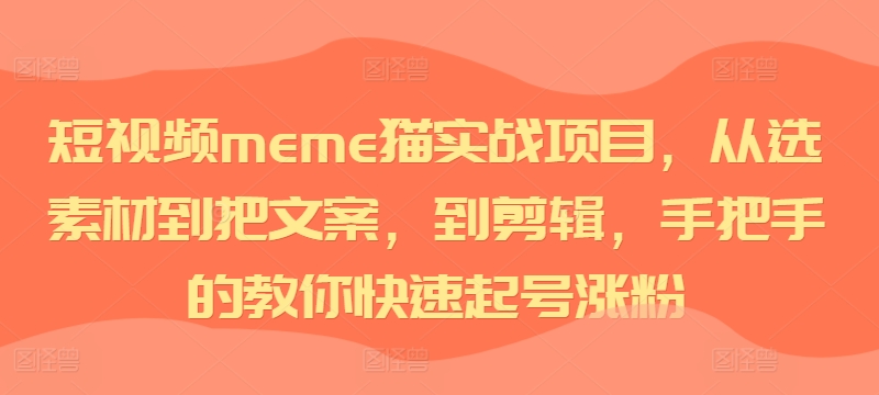 短视频meme猫实战项目，从选素材到把文案，到剪辑，手把手的教你快速起号涨粉-赚金金-技能学习分享