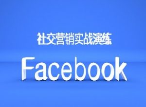 Facebook社交营销实战演练，外贸人绝对不能错过的营销推广平台-赚金金-技能学习分享